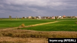 Поле, село Фрунзе Сакского района. Иллюстрационное фото