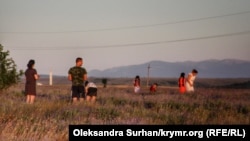 Лавандовое поле в селе Тургеневка Бахчисарайского района