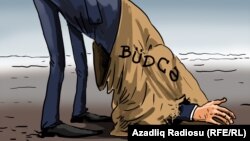 Büdcə. Karikatura